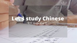 Getting back into studying Chinese | first video | study vlog