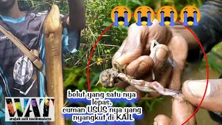 petualangan ngurek belut di spot sungai kecil di pegunungan