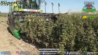 SuperCrop LP Header - Hemp field