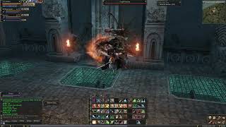 Dark omens Relax exp Reborn x1#lineage2 #reborn #l2 #relax #la2