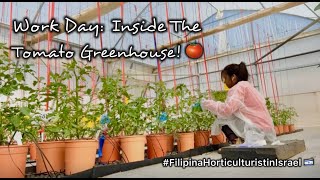 I Work Inside A Greenhouse Full of Tomato Plants! | Carla Rose Vlogs