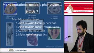 A Mazzanti   A mutation site approach helps predicting the phenotype expression of MYH7 mutations