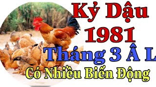 Kỷ Dậu 1969 Xem Tháng 3 Có Nhiều Biến Động