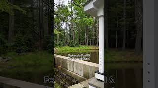 This farmhouse has a covered porch that "floats" above a swimming creek. #Farmhouse #Zillow #Shorts