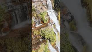 Cachoeira Almecegas 1, Chapada dos Veadeiros, Goiás, Brazil #shorts