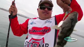 Angler Chronicles Tips: Fishing Mission Bay #6