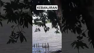 Hujan Sehari Semalam Sawah Petani Kebanjiran #banjir #cuacaextream #vídeoviral #videotrending