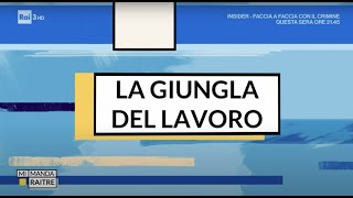 MI MANDA RAI 3 | La giungla del lavoro