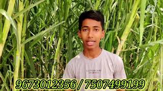 Napier 4G Bullet Digambar Gaikwad