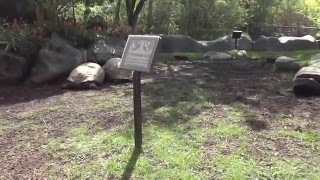 Los Angeles Zoo Aldabra Giant Tortoises