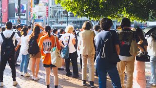 Shibuya walk Tokyo【4K】【4K】