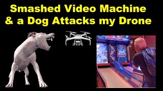 Rhyl, Smashed Video Machine, & a Dog Attack