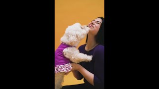 A Cute Girl Fell In Love With Her Puppy #shorts #funnydoggydog #shortsvideo #youtubeshorts