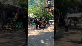 Suasana gili trawangan #shortsvideo #malaysia #viral #singapore #jakarta