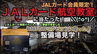 JALカード 特別イベント 羽田格納庫見学 787のコックピットに座った！　(^^)/