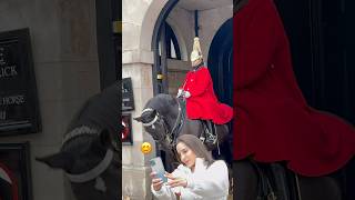 King’s Guard Horses #royalguard #horses #london #tourist #history #viralvideo #shorts