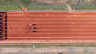 8º Páreo   13h10   TORNEIO ESPECIAL 50 ANOS HARAS SÃO MATHEUS