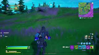 FORTNITE : Opposing team lit up by my 5 year old ending in a Victory Royale