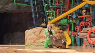 Sea World Abu Dhabi Experience| Sea Lion Show| Abu Dhabi| Vlog#278