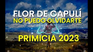 Flor de Capulí - No puedo olvidarte PRIMICIA 2023 [Subtitulado] - Bio Quechua