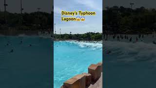 TYPHOON LAGOON #waterpark  #disney