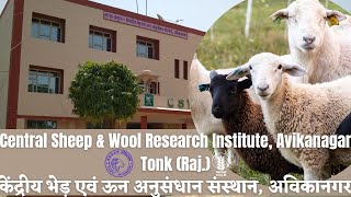 Central Sheep & Wool Research Institute, Avikanagar | केंद्रीय भेड़ एवं ऊन अनुसंधान संस्थान | Sheep