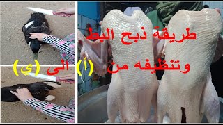 ذ-ب-ح البط بالطريقة الشريعة 🦆 وتنظيفه من الريش بطريقه سهله 🧕