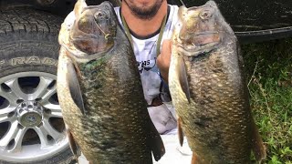 curso de pesca sábalo o machaca ,róbalo guapote .