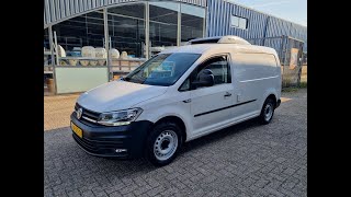 VW CADDY MAXI KUHLWAGEN THERMO-KING ST 230V DSG  EURO 6