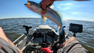 Catching Beautiful Speckled Trout | Hobie Pro Angler kayak fishing