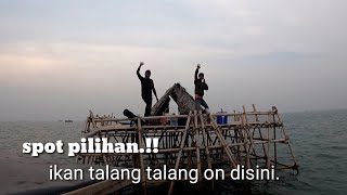 LAMA GA KEBAGAN MALAH PANEN IKAN TALANG TALANG