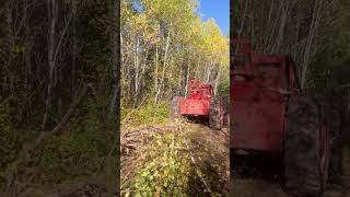 230 Timberjack skidder #detroitdiesel #timberjack #logging