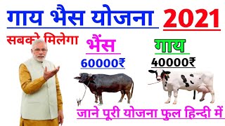 किसानो को मिलेगें 1,60,000 रुपये | पशु किसान क्रेडिट कार्ड योजना 2021 | Pashu kisan credit card kya