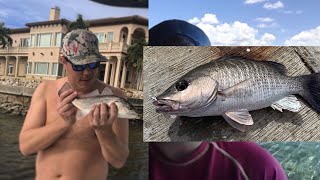 Fishcasting Podcast Episode 15: Spanish Mackerel, Redfish & Jack Crevalle