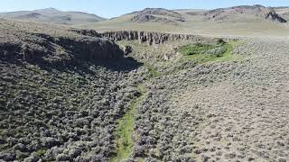 North Springs Mesic Restoration Beatys Butte Oregon