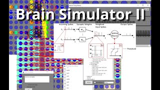 AGI20 Presentation: Brain Simulator II