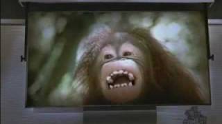 Danger Danger - Monkey Business fan version (Mark Wahlberg)