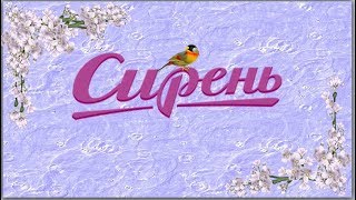 Сирень