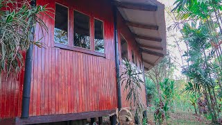 Sleeping in Costa Rica's Jungle in a Bungalow! Howler Monkeys, Bugs and a Coffee Farm!