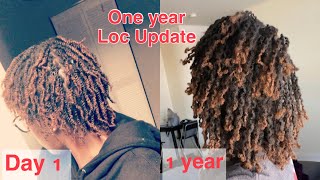 One Year Loc Journey on Two Strand Twist Locs  || Becca Wiss