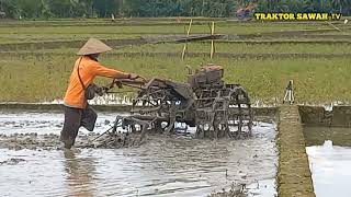 langsung gelebeg di mulai dari tengan traktor sawah  mengolah lahan sebelun tanam