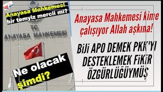 Ne olacak şimdi? - Anayasa Mahkemesi bir temyiz mercii mi? Böyle bir yetkisi var mı?