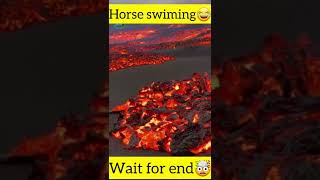 🐴Horse swiming 😂😂@MR. INDIAN HACKER @Crazy XYZ @MrBeast #shorts #short #viral