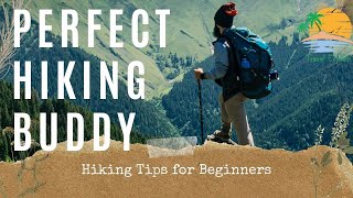 The Perfect Hiking Buddy For Beginners