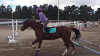 3/25/17 Trot Jumps 2X