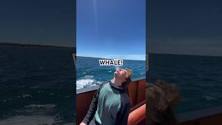 WHALE SIGHTING! #whalebiology #marinewildlife #darwin200#sailingtheworld #puertomadryn #conservation