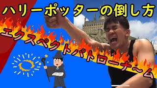 【武井壮】イギリス代表・魔法使いハリーポッターをもコテンパンにする百獣の王【切り抜き】エクスペクトパトローナム検閲済み　J.K.Rowllingにもひるまないマグル代表 字幕あり・編集済み