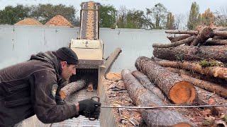 Extreme Danger at the Sawmill: Turning Giant Logs into Perfect Chips!