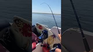 Дети будут лучше чем мы #добро #рыбалка #калмыкия #fishing #цаган #volga #сом