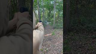 Under 300$ Budget Gun (Taurus G2C) 🎯🔥 #shorts #trending #viral #trendingshorts #comment